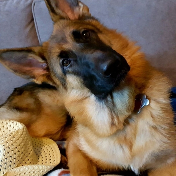 Share here! โค chat here! - Picture 13 of 15